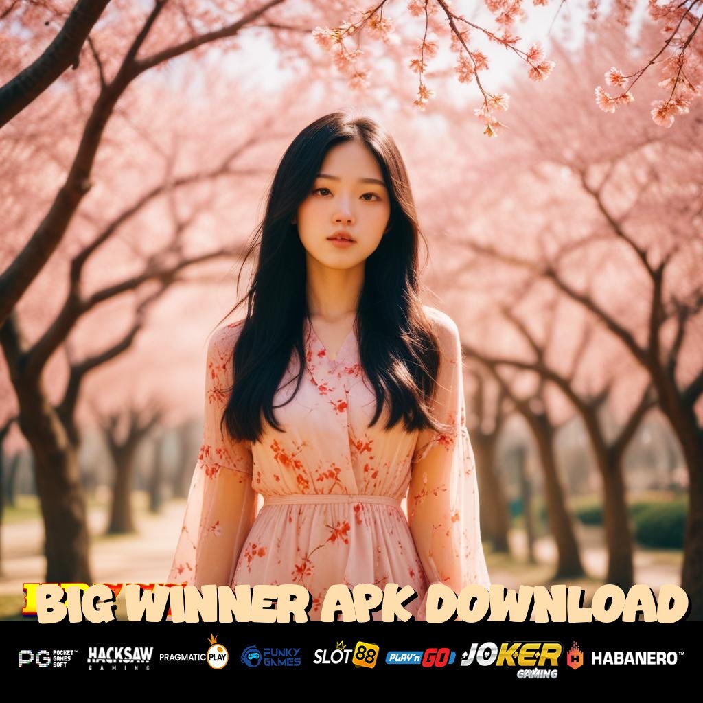 BIG WINNER APK DOWNLOAD