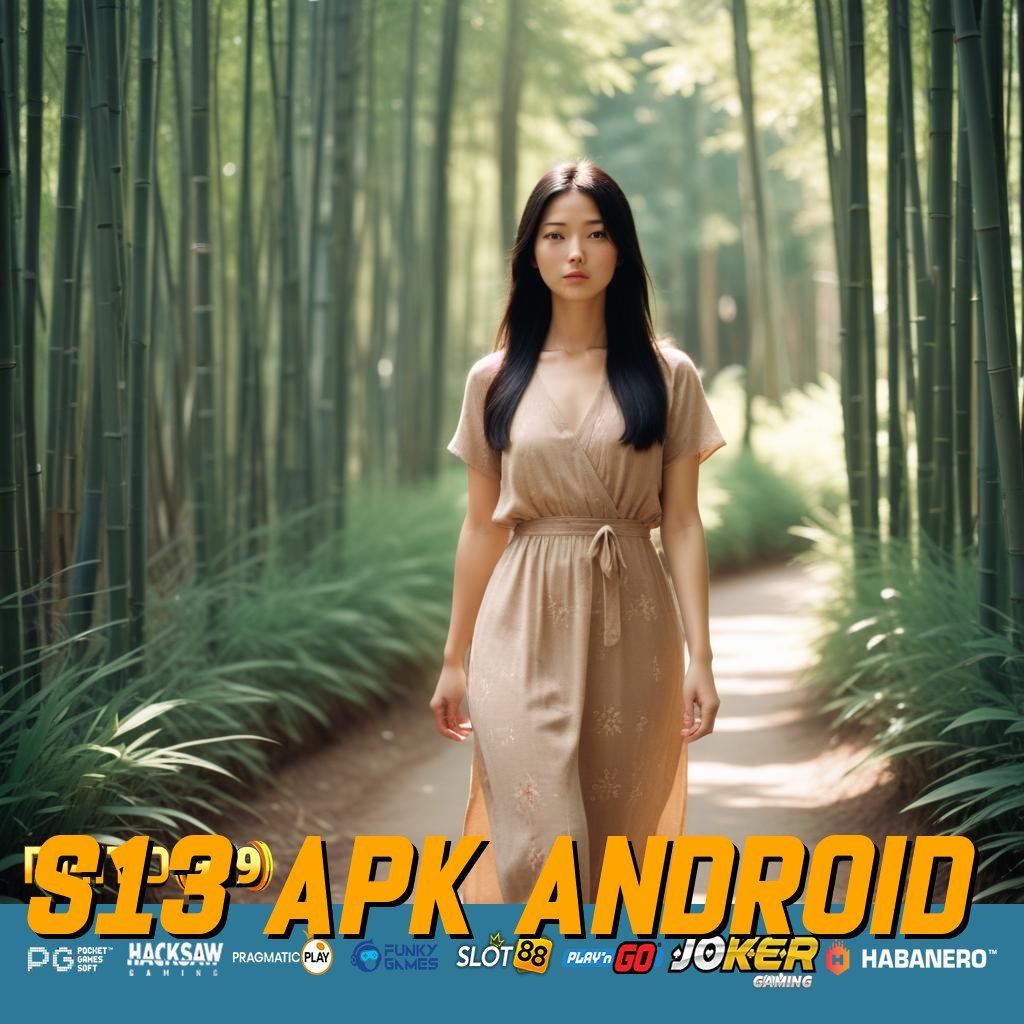 S13 APK ANDROID - Instal APK Versi Terkini dengan Pengoperasian Lancar